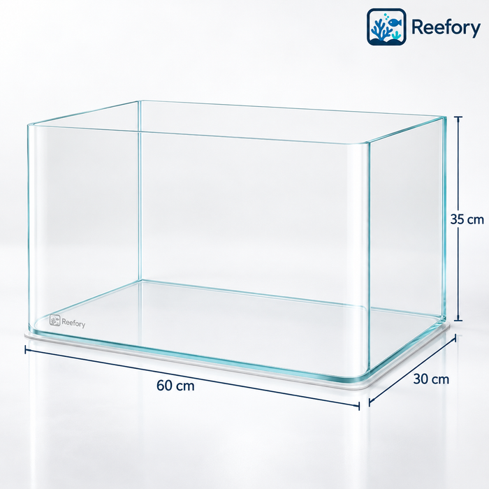 Heat-Bent Glass Tank - image 1
