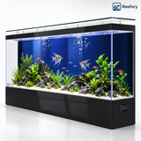 Ultra-Clear Glass Aquarium - image 7