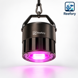 200 W Hanging Reef Light - image 9