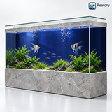 Ultra-Clear Glass Aquarium - image 8