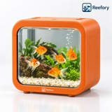 Mini Betta Cube Tank - image 9