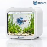Mini Betta Cube Tank - image 11