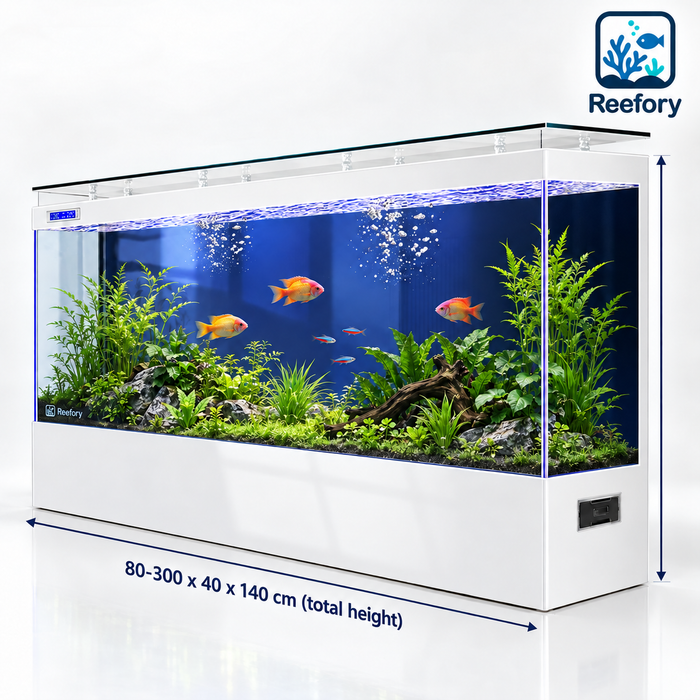 Ultra-Clear Glass Aquarium - image 1