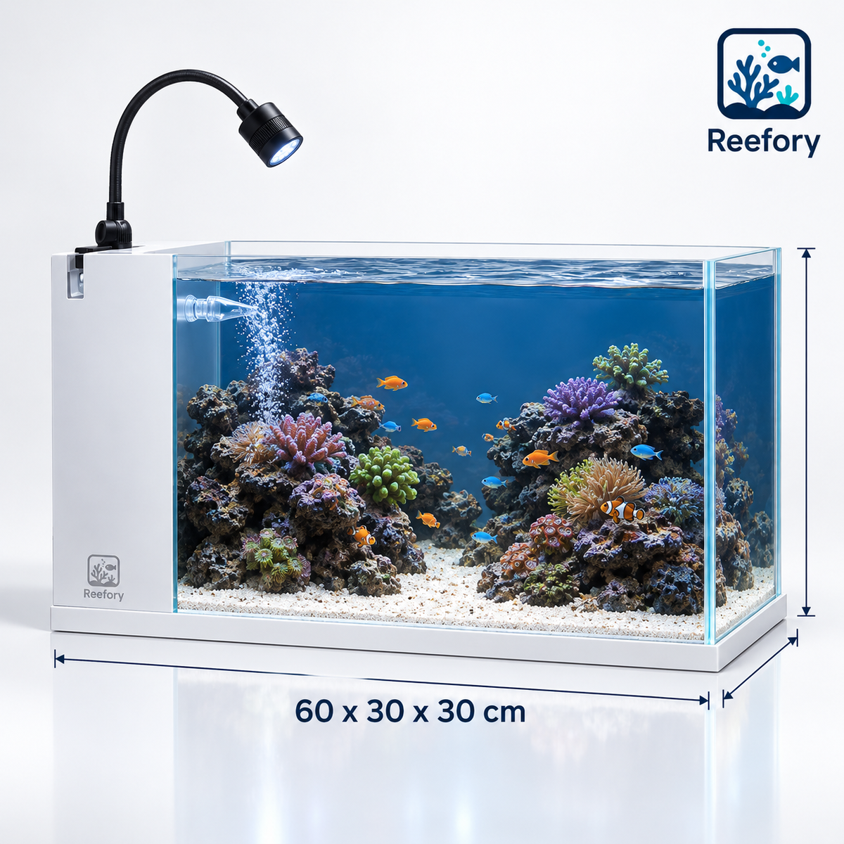 Modern Reef Aquarium - image 1