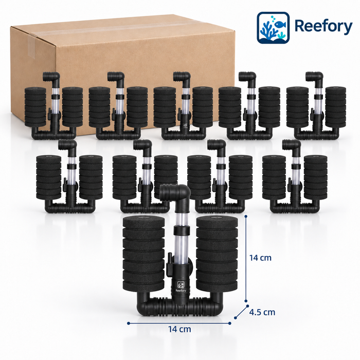 Double Sponge Filter 10-Pack - image 1