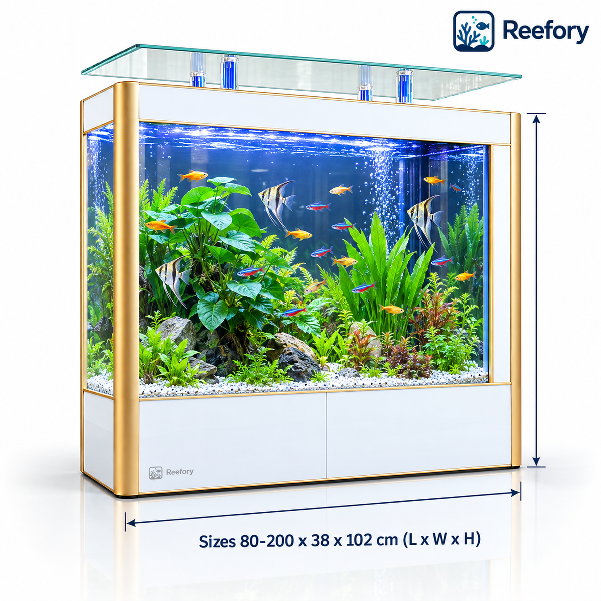 Room-Divider Aquarium - image 1