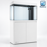 Partition Wall Aquarium - image 1