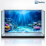 Coral Reef Background - image 1