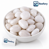 White Polished Pebbles - image 1