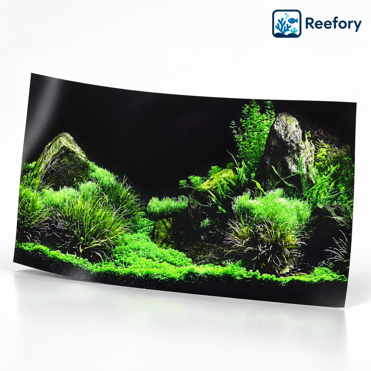 Planted Rock Background - image 1