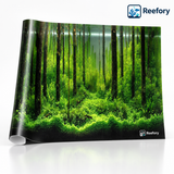 Underwater Forest Background - image 1