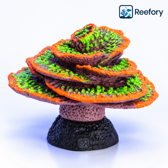 Glow Spiral Coral - image 1