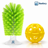 Turtle Shell Brush - image 1