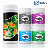 Water Care Starter Kit - image 1