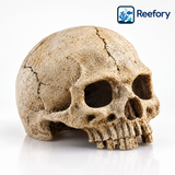 Resin Skull Hideout - image 1