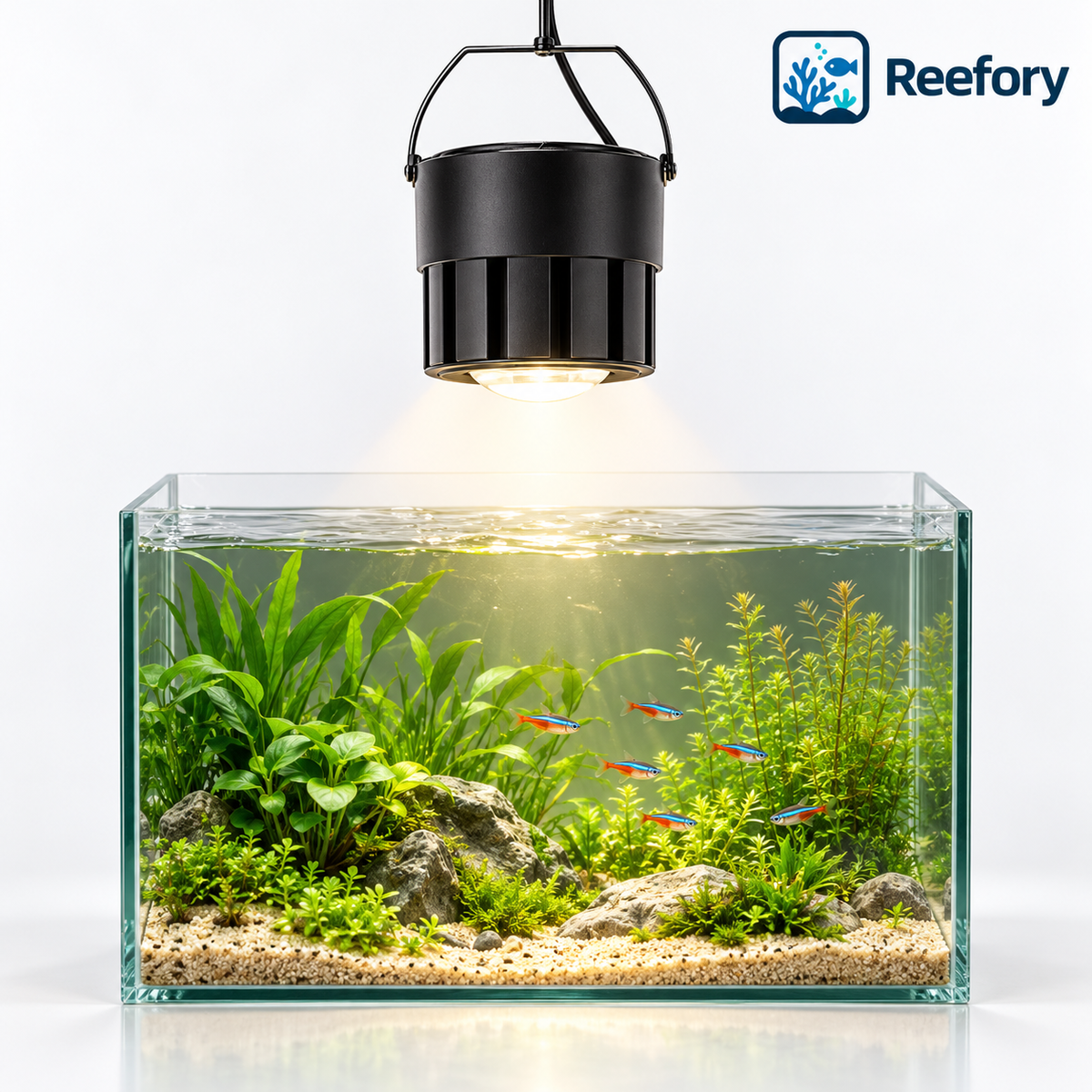 200W Pendant Aquarium Light - image 1