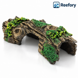 Hollow Stump Cave - image 1