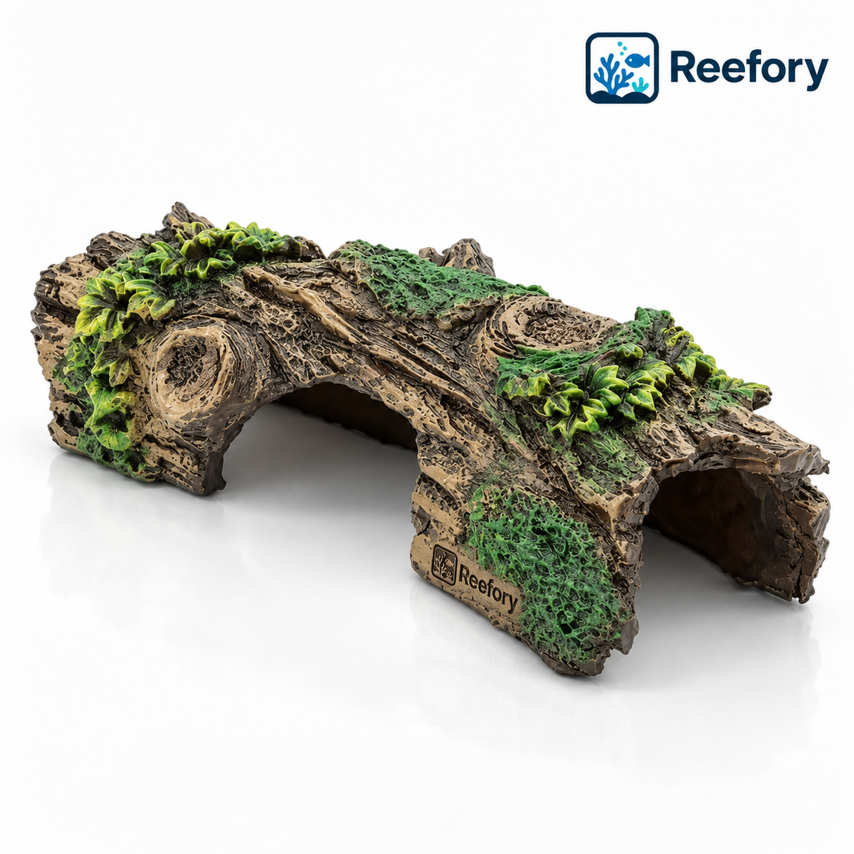 Hollow Log Cave - image 1