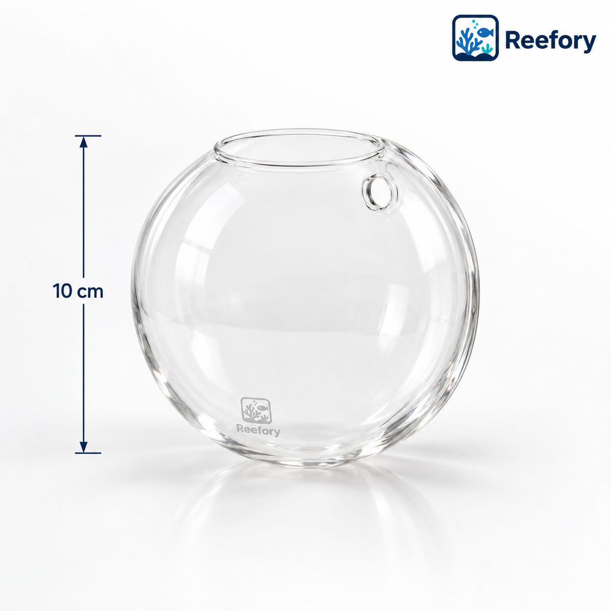 Wall-Hanging Glass Bowl - image 1