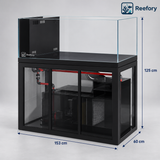 Rimless Marine Aquarium - image 2