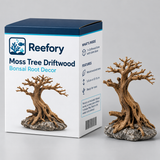 Moss Tree Driftwood - image 2