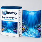 Coral Reef Background - image 2