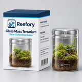 Glass Moss Terrarium - image 2