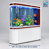 Arched Glass Aquarium - image 2