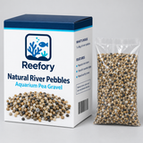 Natural River Pebbles - image 2