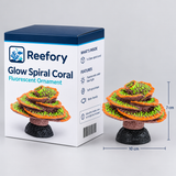 Glow Spiral Coral - image 2