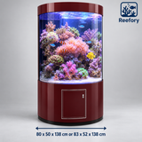 Semi-Circular Aquarium - image 2