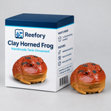 Clay Horned Frog - image 2
