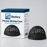 Porous Shrimp Cave - image 2
