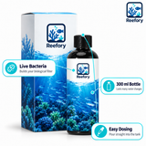 Nitrifying Bacteria - image 3