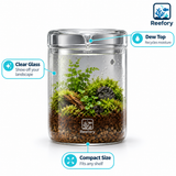Glass Moss Terrarium - image 3