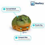 Clay Horned Frog - image 3