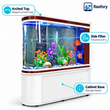 Arched Glass Aquarium - image 3