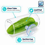 Acrylic Betta Tunnel - image 3