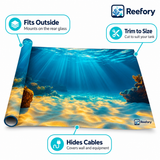 Sunlit Seabed Background - image 3