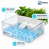 Clear Turtle Tank - image 3