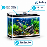 Smart Desktop Aquarium Kit - image 3