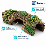 Hollow Log Cave - image 3