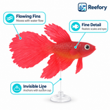 Silicone Betta Ornament - image 3