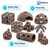 Ceramic Shrimp Shelter - image 3