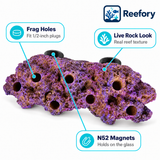 Magnetic Reef Frag Rock - image 3