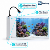 Modern Reef Aquarium - image 3