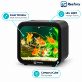 Mini Betta Cube Tank - image 3