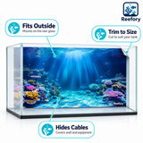 Coral Reef Background - image 3