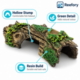 Hollow Stump Cave - image 3