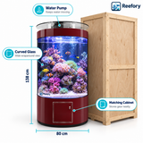 Semi-Circular Aquarium - image 3